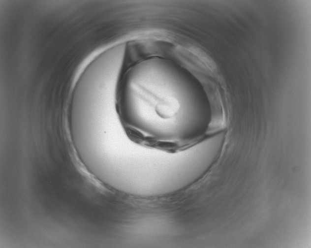 X0000082170960200702021723