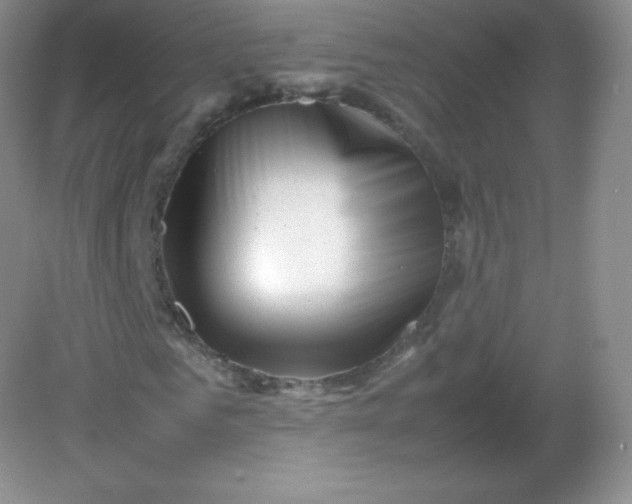 X0000082170961200702021722