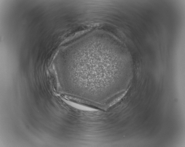 X0000082170962200702021722