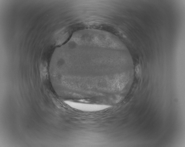 X0000082170963200702021722