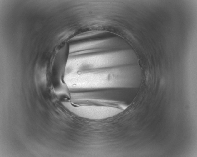 X0000082170964200702021722