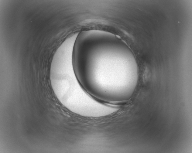 X0000082170965200702021722