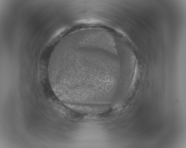 X0000082170967200702021722