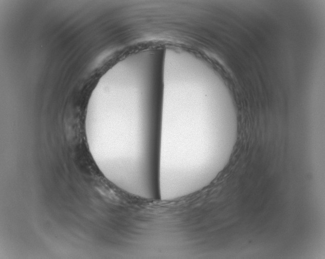 X0000082170968200702021722