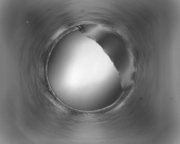 X0000082170969200702021722