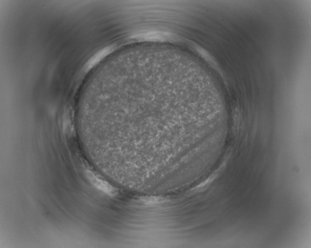 X0000082170970200702021722