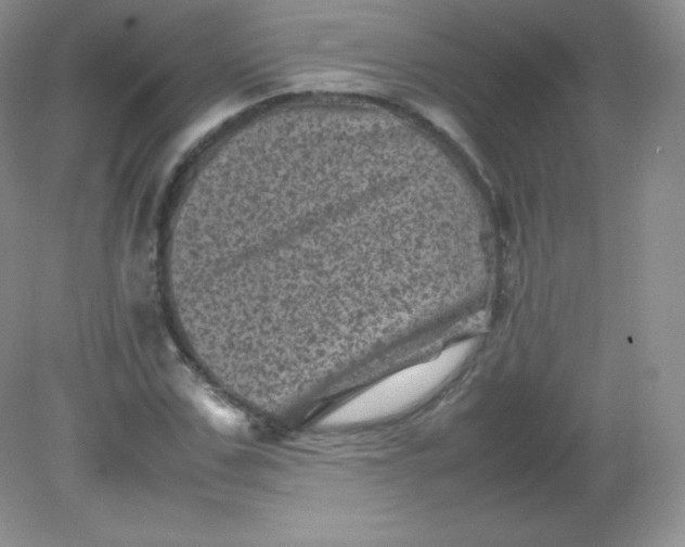 X0000082170971200702021722