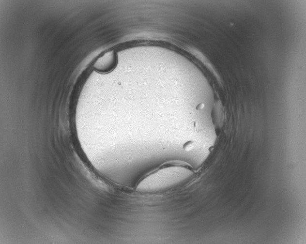 X0000082170972200702021722