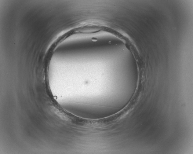 X0000082170973200702021722