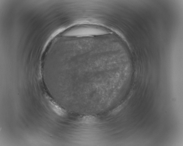 X0000082170974200702021722