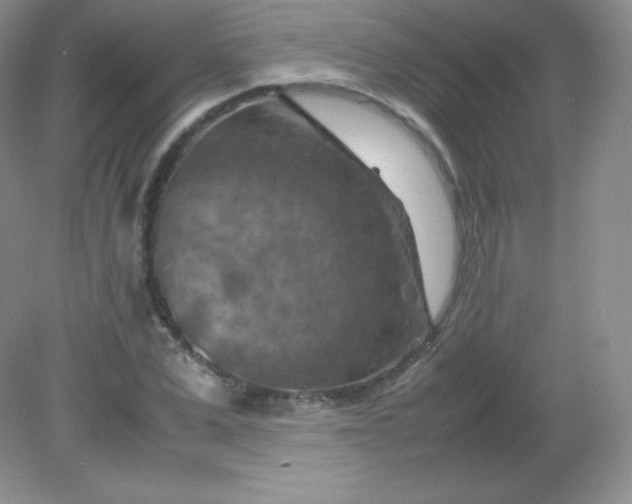 X0000082170975200702021722