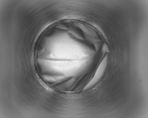 X0000082170976200702021722