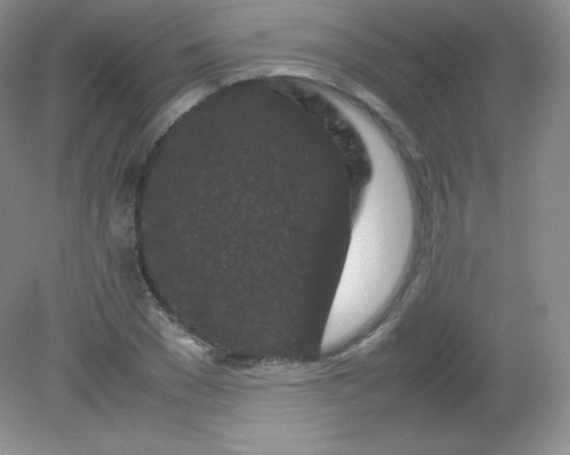 X0000082170977200702021722