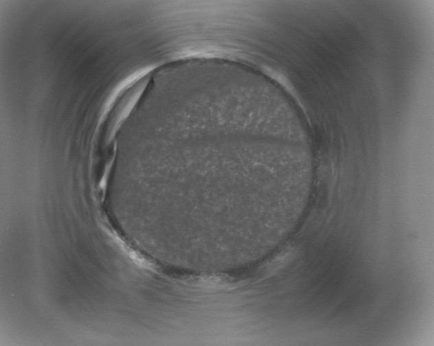 X0000082170979200702021722