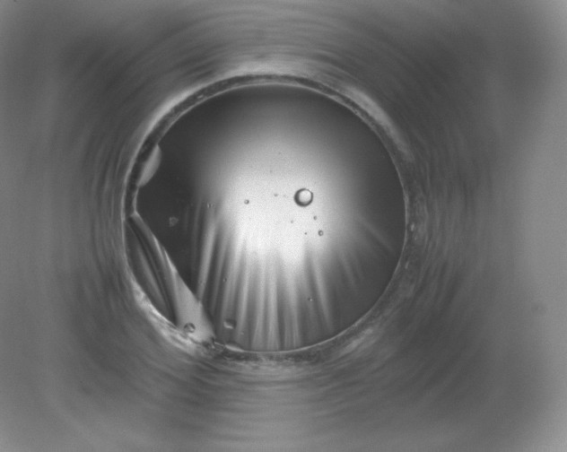 X0000082170980200702021722