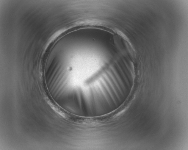 X0000082170981200702021722