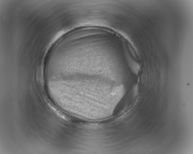 X0000082170982200702021722