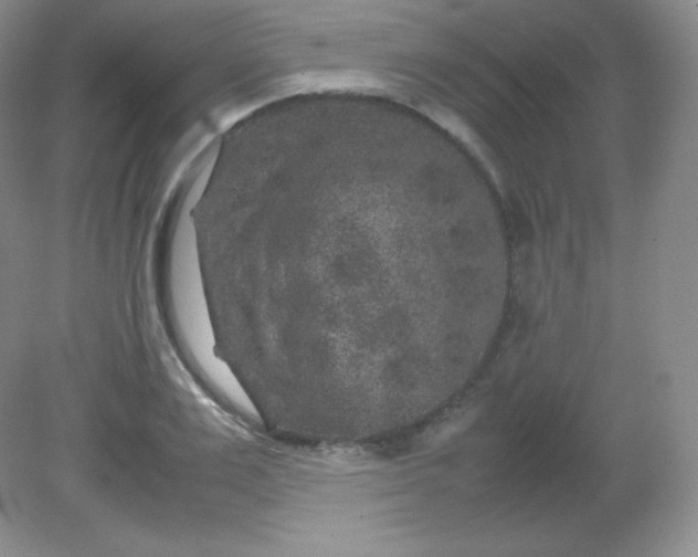 X0000082170983200702021722