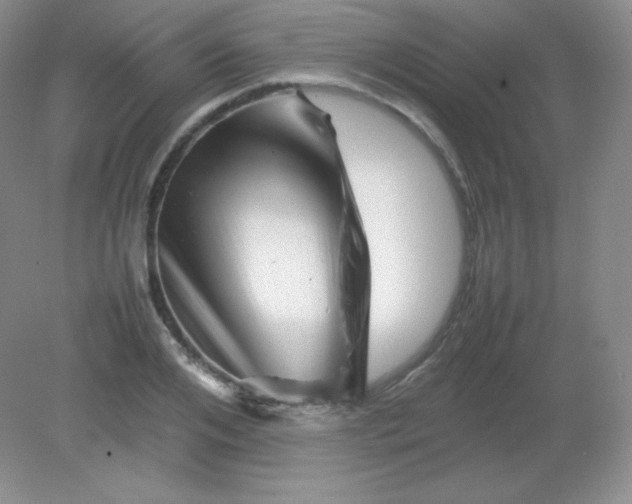 X0000082170984200702021722