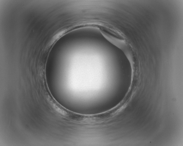 X0000082170985200702021722