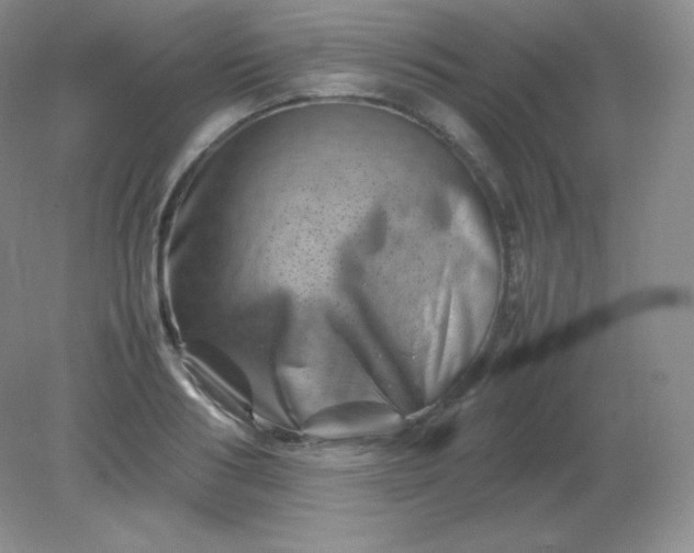 X0000082170986200702021722