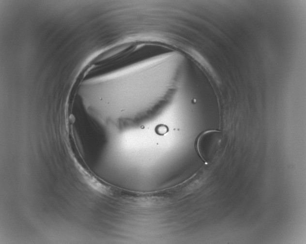 X0000082170988200702021722