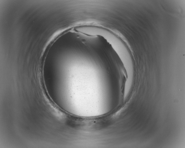 X0000082170989200702021722