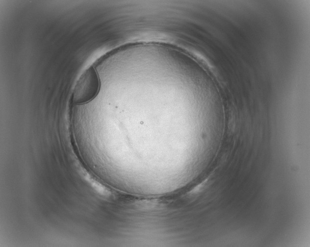 X0000082170990200702021722