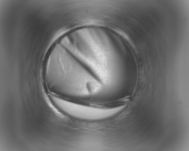 X0000082170991200702021722