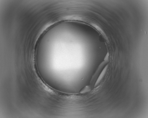 X0000082170992200702021722