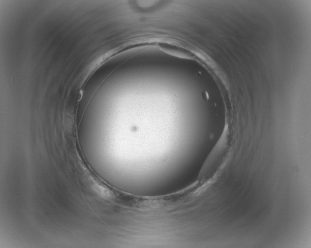 X0000082170993200702021722