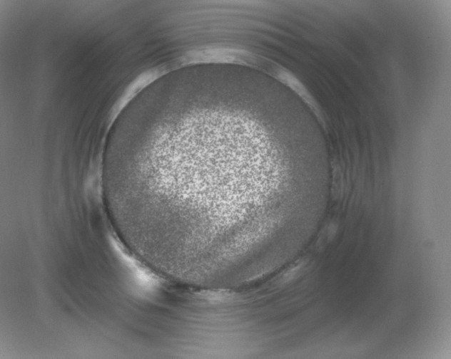 X0000082170994200702021722