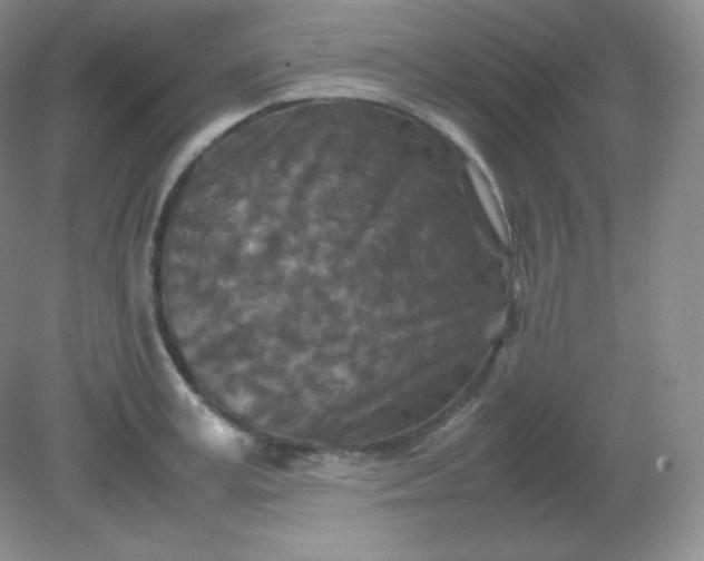 X0000082170995200702021722