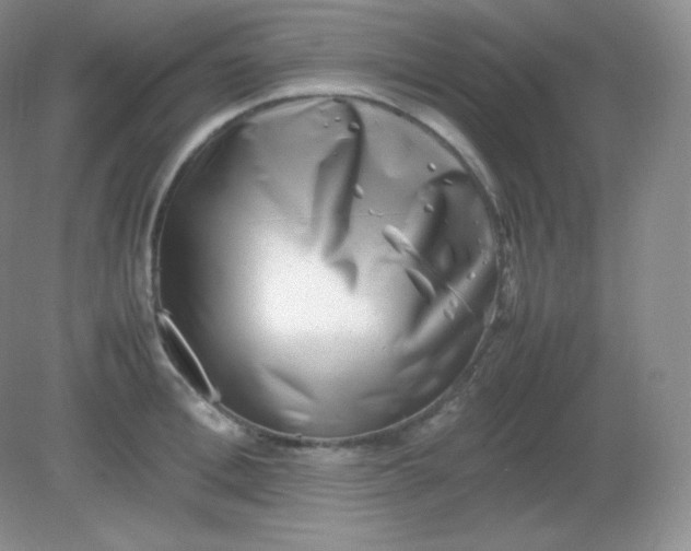 X0000082170996200702021722