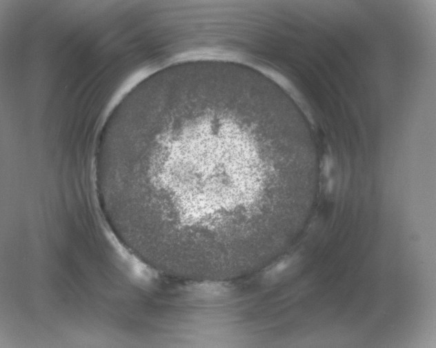 X0000082170998200702021722