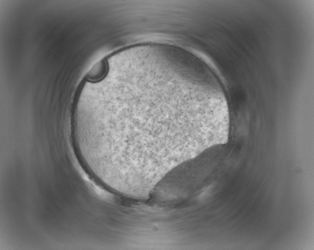 X0000082170999200702021722