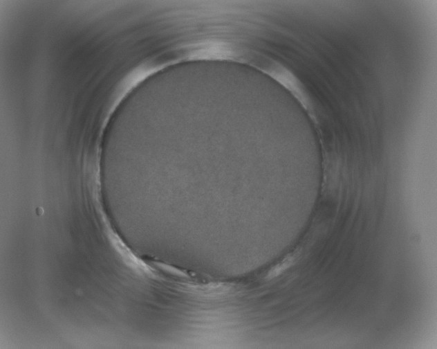 X0000082171000200702021722