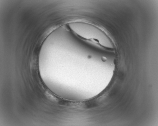 X0000082171001200702021722