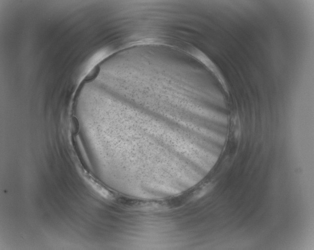 X0000082171002200702021722