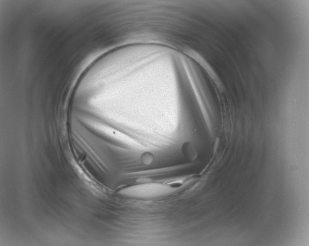 X0000082171004200702021722