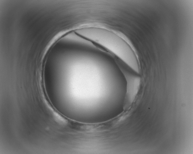 X0000082171005200702021722