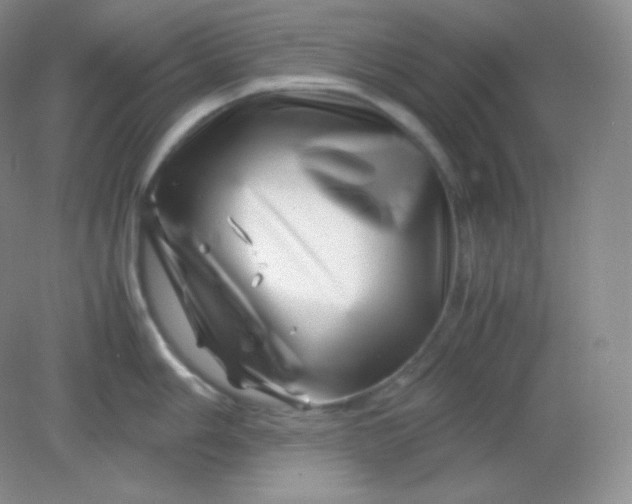 X0000082171006200702021722