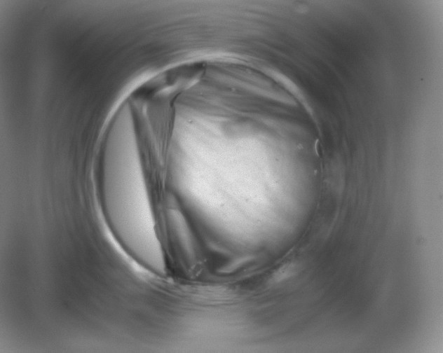 X0000082171007200702021722