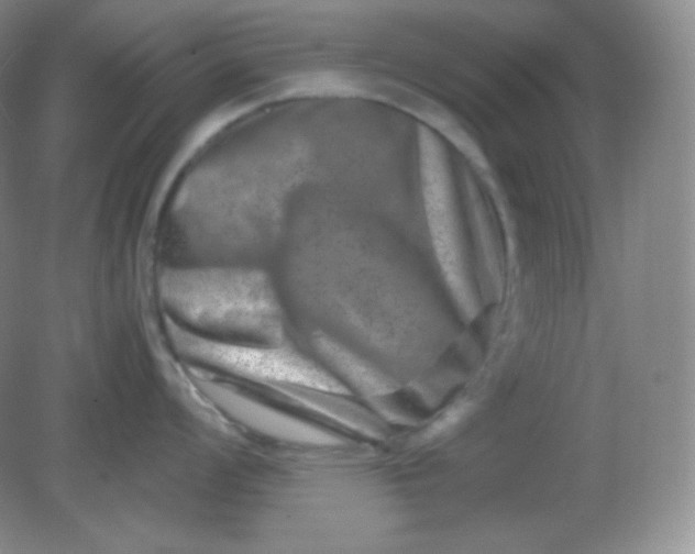 X0000082171008200702021722