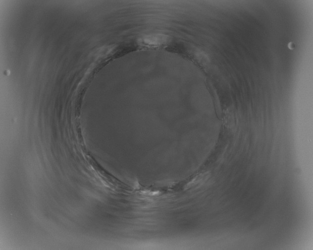 X0000082171009200702021721