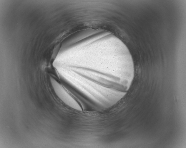 X0000082171012200702021721