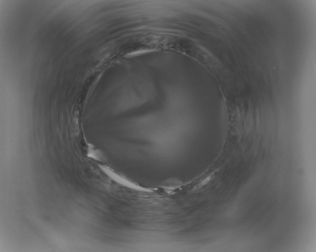 X0000082171013200702021721