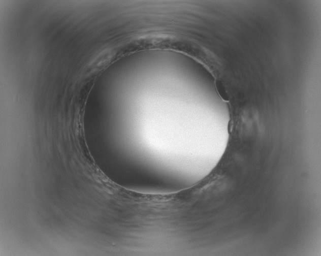 X0000082171014200702021721