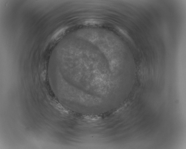 X0000082171015200702021721