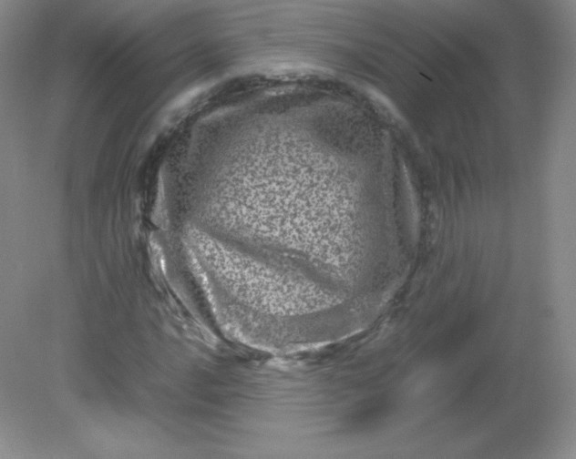 X0000082171016200702021721